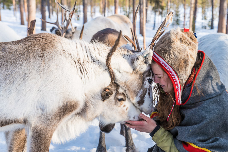 Anna and the reindeers