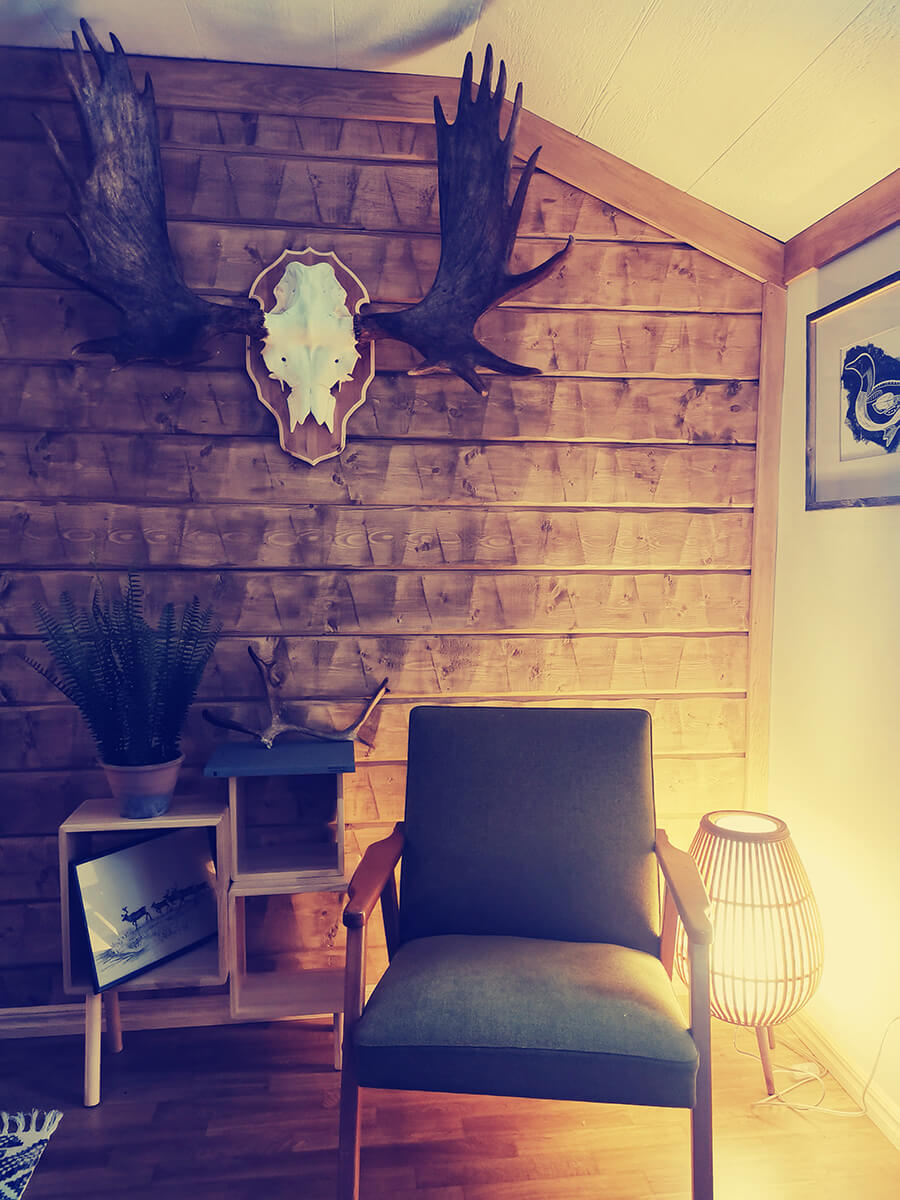 Cabin livingroom
